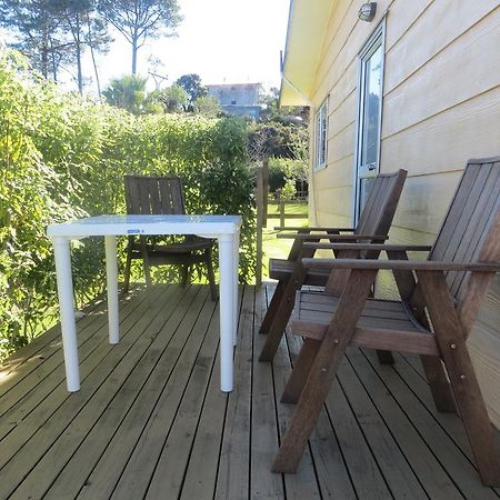 Big Bay Holiday Park Awhitu Bilik gambar
